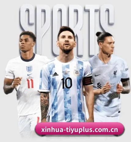 五大服务分区,信息按项目分类